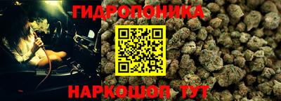 шишки Ипатово