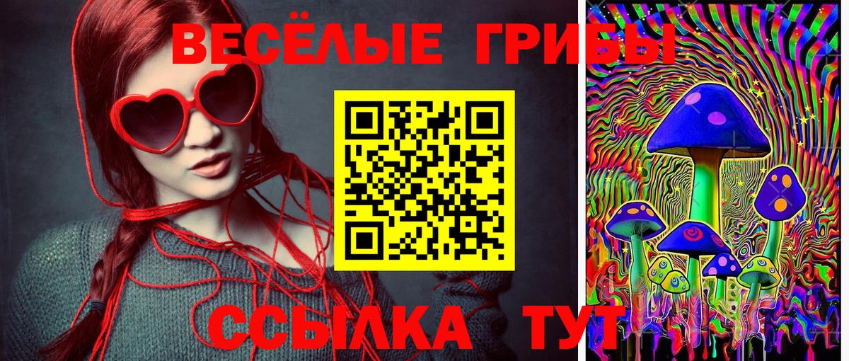 Кинешма  Галлюциногенные грибы MAGIC MUSHROOMS  Вход с VPN 